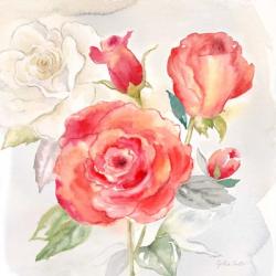 Garden Roses I | Obraz na stenu