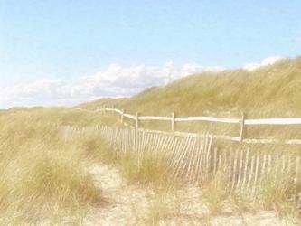 Seagrass Dunes | Obraz na stenu