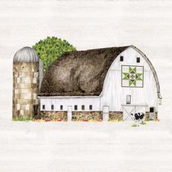 Spring & Summer Barn Quilt IV | Obraz na stenu