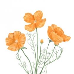 Wildflower Group III | Obraz na stenu
