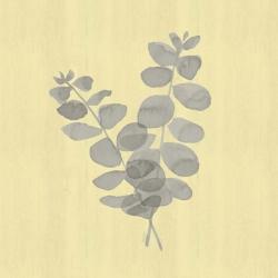 Natural Inspiration Eucalyptus Gray & Yellow I | Obraz na stenu
