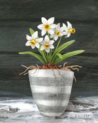 Farmhouse Garden II-White Daffodils | Obraz na stenu