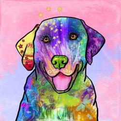 Colorful Pets IV | Obraz na stenu