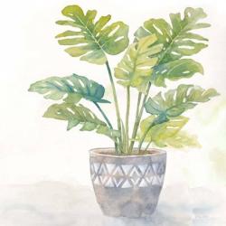 Houseplant III-Split Leaf Philodendron | Obraz na stenu