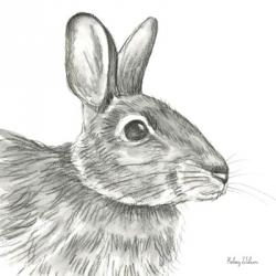 Watercolor Pencil Forest II-Rabbit | Obraz na stenu