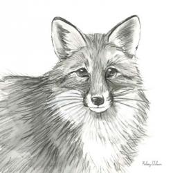 Watercolor Pencil Forest III-Fox | Obraz na stenu