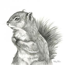 Watercolor Pencil Forest IV-Squirrel | Obraz na stenu