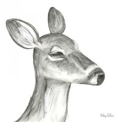 Watercolor Pencil Forest IX-Fawn | Obraz na stenu