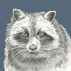 Watercolor Pencil Forest color VI-Raccoon | Obraz na stenu