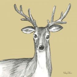 Watercolor Pencil Forest color VIII-Deer | Obraz na stenu