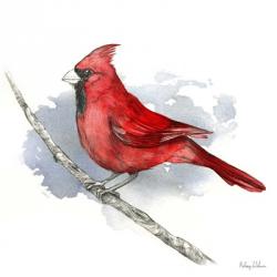 Birds & Branches I-Cardinal | Obraz na stenu