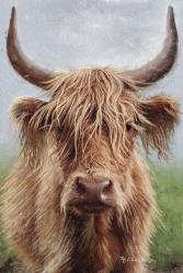 Highland portrait II | Obraz na stenu