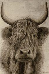 Highland rustic portrait | Obraz na stenu