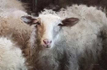 Sheep's Flock | Obraz na stenu