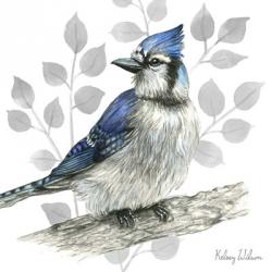 Backyard Birds I-Blue Jay | Obraz na stenu