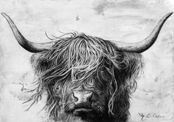 Highland in the Wind II | Obraz na stenu