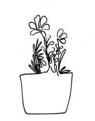 Hand Sketch Flowerpot I | Obraz na stenu