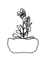 Hand Sketch Flowerpot II | Obraz na stenu