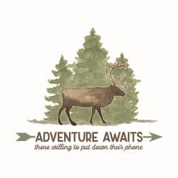 Lost in Woods II-Adventure Awaits | Obraz na stenu