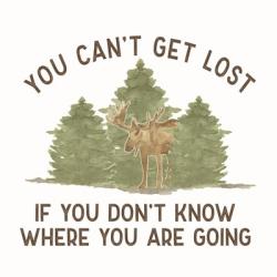 Lost in Woods III-Can't Get Lost | Obraz na stenu