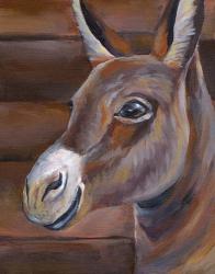 Barn Donkey | Obraz na stenu