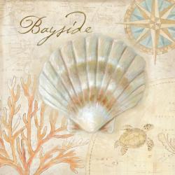 Nautical Shells II | Obraz na stenu
