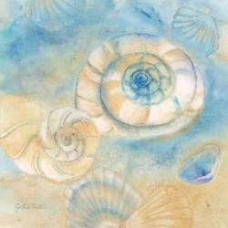 Watercolor Shells I | Obraz na stenu