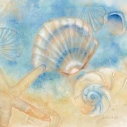 Watercolor Shells II | Obraz na stenu