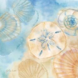 Watercolor Shells III | Obraz na stenu