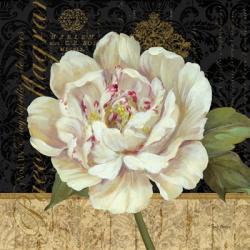 Antique Still Life Peony | Obraz na stenu