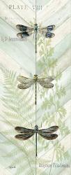 Dragonfly Botanical Panels II | Obraz na stenu