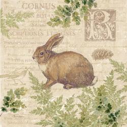 Woodland Trail IV (Rabbit) | Obraz na stenu