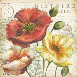 Spice Poppies Histoire Naturelle I | Obraz na stenu