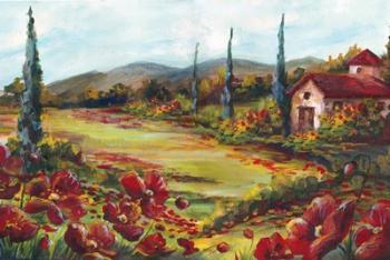 Tuscan Poppy Landscape | Obraz na stenu