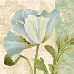 Pastel Poppies IV | Obraz na stenu