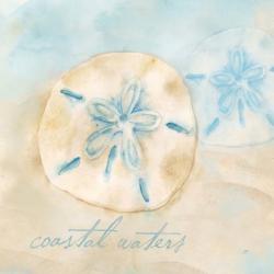 Watercolor Shell Sentiments IV | Obraz na stenu