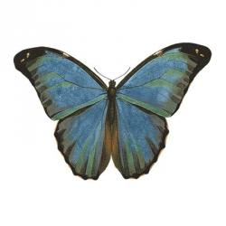 Butterfly Botanical III | Obraz na stenu