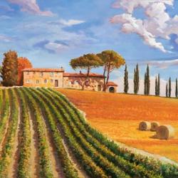 Colline Toscane (Detail) | Obraz na stenu