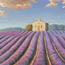 Campi di Lavanda (Detail) | Obraz na stenu