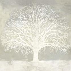 White Oak | Obraz na stenu