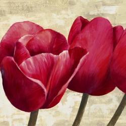Red Tulips (Detail) | Obraz na stenu