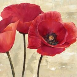 Red Poppies (Detail) | Obraz na stenu