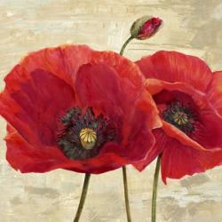 Red Poppies (detail II) | Obraz na stenu