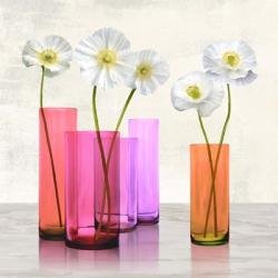 Poppies in crystal vases (Purple I) | Obraz na stenu