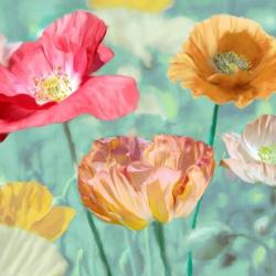 Poppies in Bloom II | Obraz na stenu