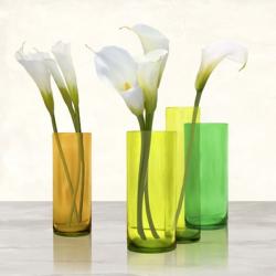 Callas in crystal vases I (detail) | Obraz na stenu