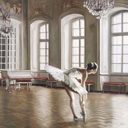 Rehearsing Ballerina | Obraz na stenu