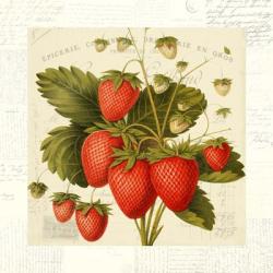 Fraises | Obraz na stenu