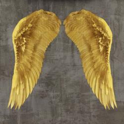 Angel Wings I | Obraz na stenu