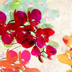 Orchidreams (detail) | Obraz na stenu